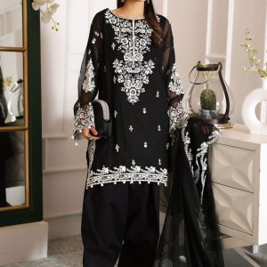 3 Piece Embroidered Cotton Net Suit | DW-EA25-123