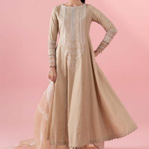 3 Piece Embroidered Lawn Suit | DW-EA25-37