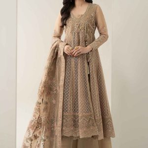 3 Piece Embroidered Organza Suit | SF-EA25-01